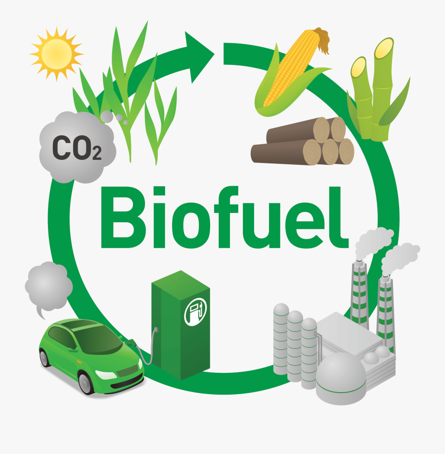 Bio Fuel, Transparent Clipart