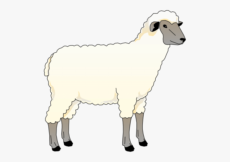 Sheep Free To Use Cliparts - Animated Images Of Sheep , Free