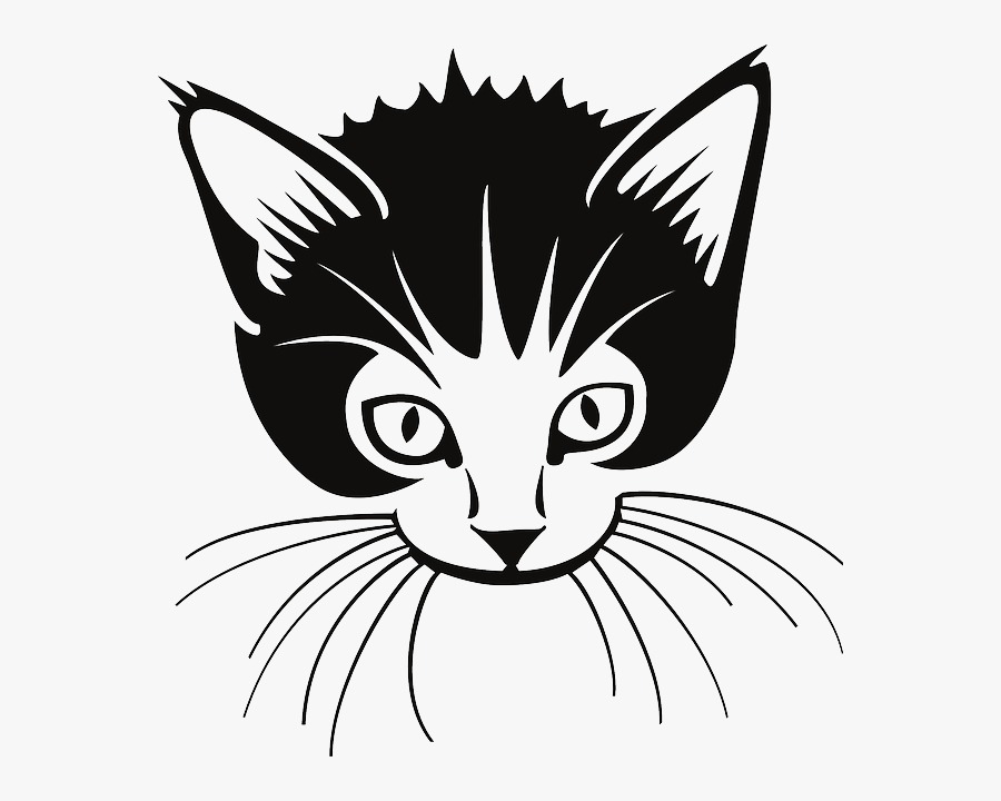 Cat With Whiskers Clipart, Transparent Clipart