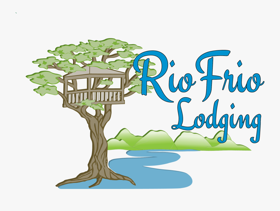 Rio Frio Lodging - Tree, Transparent Clipart