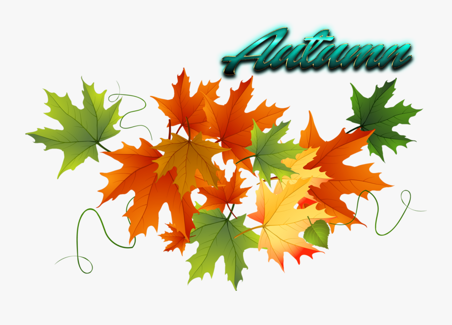 Autumn Leaves Free Png Image - Fall Leaves Transparent Clipart Free, Transparent Clipart