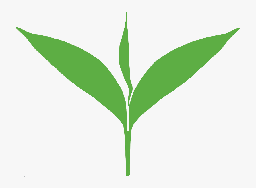 Png For Free Download On Mbtskoudsalg - Tea Leaf Vector Png, Transparent Clipart