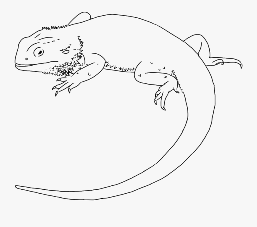 Bearded Dragon Black And White Clipart - Draw A Bearded Dragon, Transparent Clipart