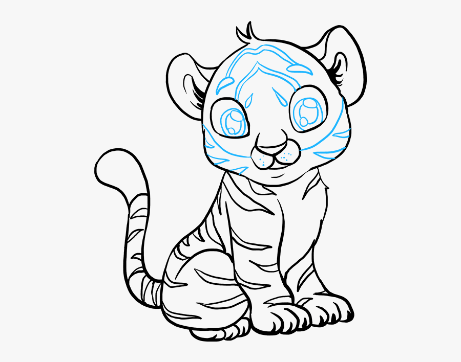 Transparent Baby Tiger Png 4 Baby Tiger Drawing Free Transparent Clipart Clipartkey