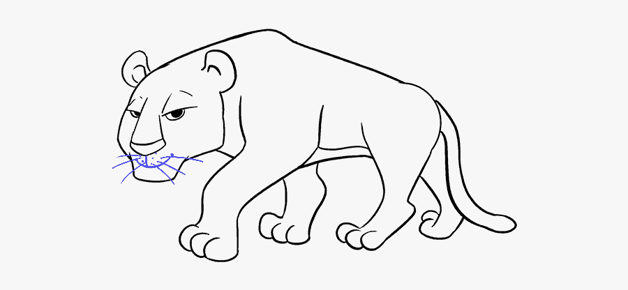 How To Draw A Tiger Head - Tiger Cartoon Drawings, Transparent Clipart