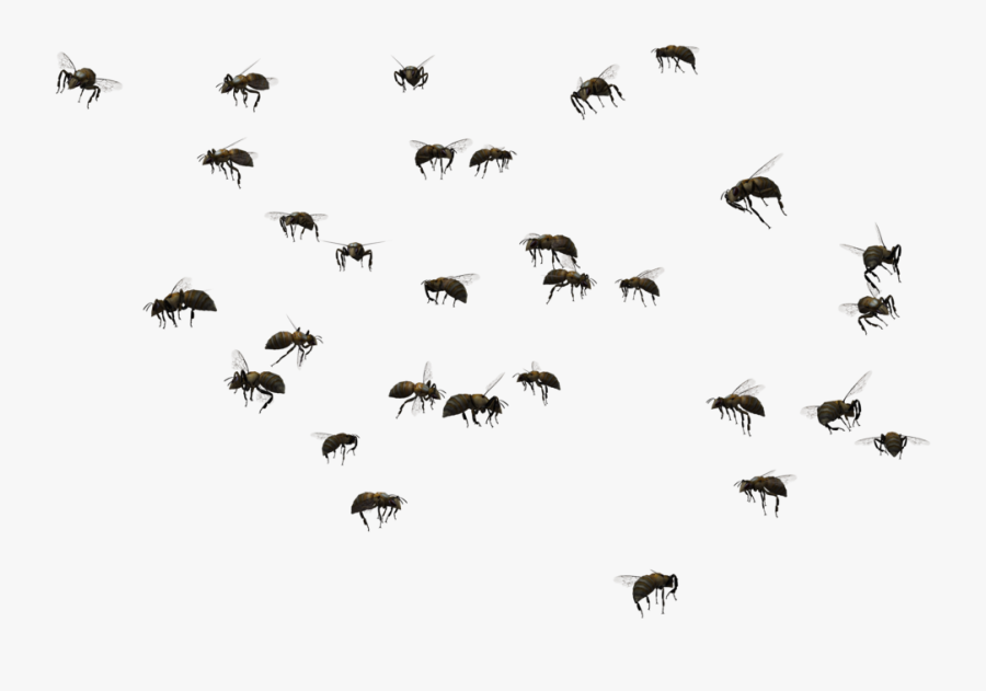 Image Black And White Download Beehive Swarming Clip - Swarm Of Bees Vector, Transparent Clipart