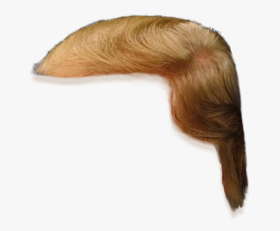 Haircut Png Clipart - Donald Trump Hair Only, Transparent Clipart