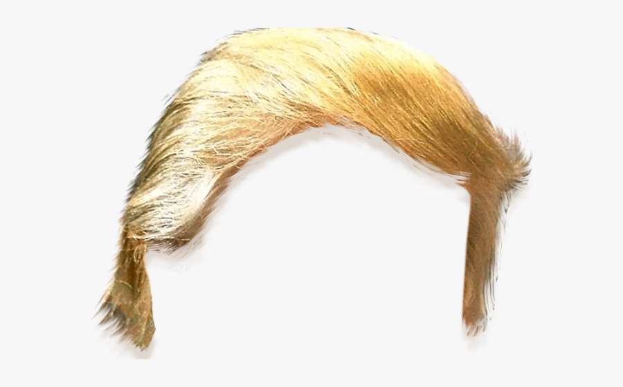 Haircut Clipart Trump - Donald Trumps Hair Png, Transparent Clipart