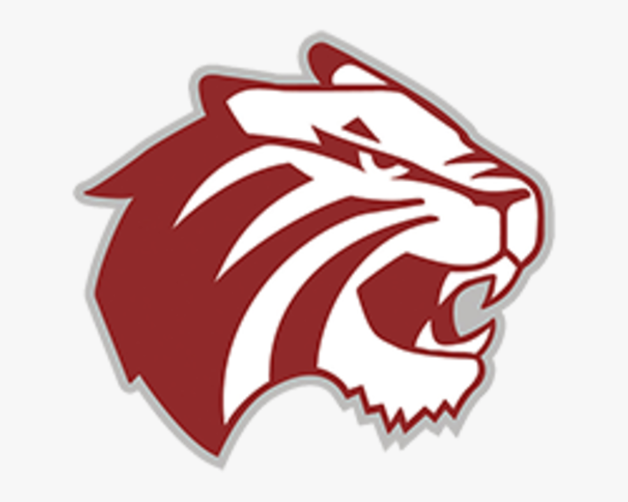 Trinity University Logo - Trinity University Tiger Logo, Transparent Clipart