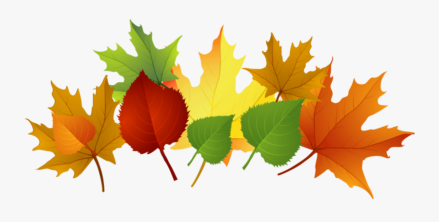 Fall Leaf Clip Art Free Cliparts That You Can Download - Autumn, Transparent Clipart