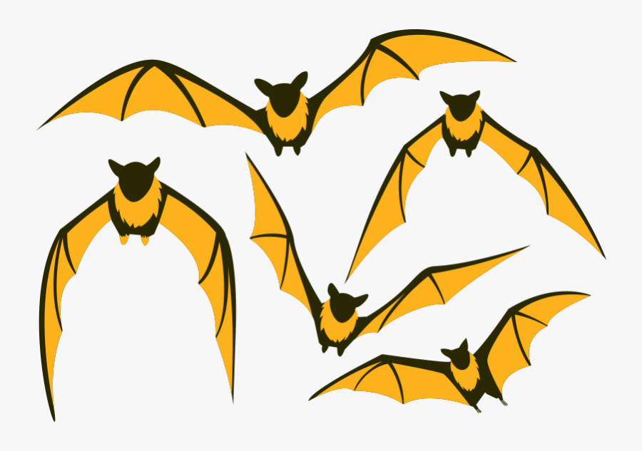 Bat Flight Large Flying Fox Clip Art - Flying Fox Clipart, Transparent Clipart