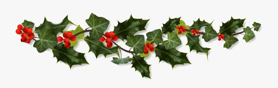 Holly Border Png Clip Art Transparent Stock - Border Holly Png, Transparent Clipart