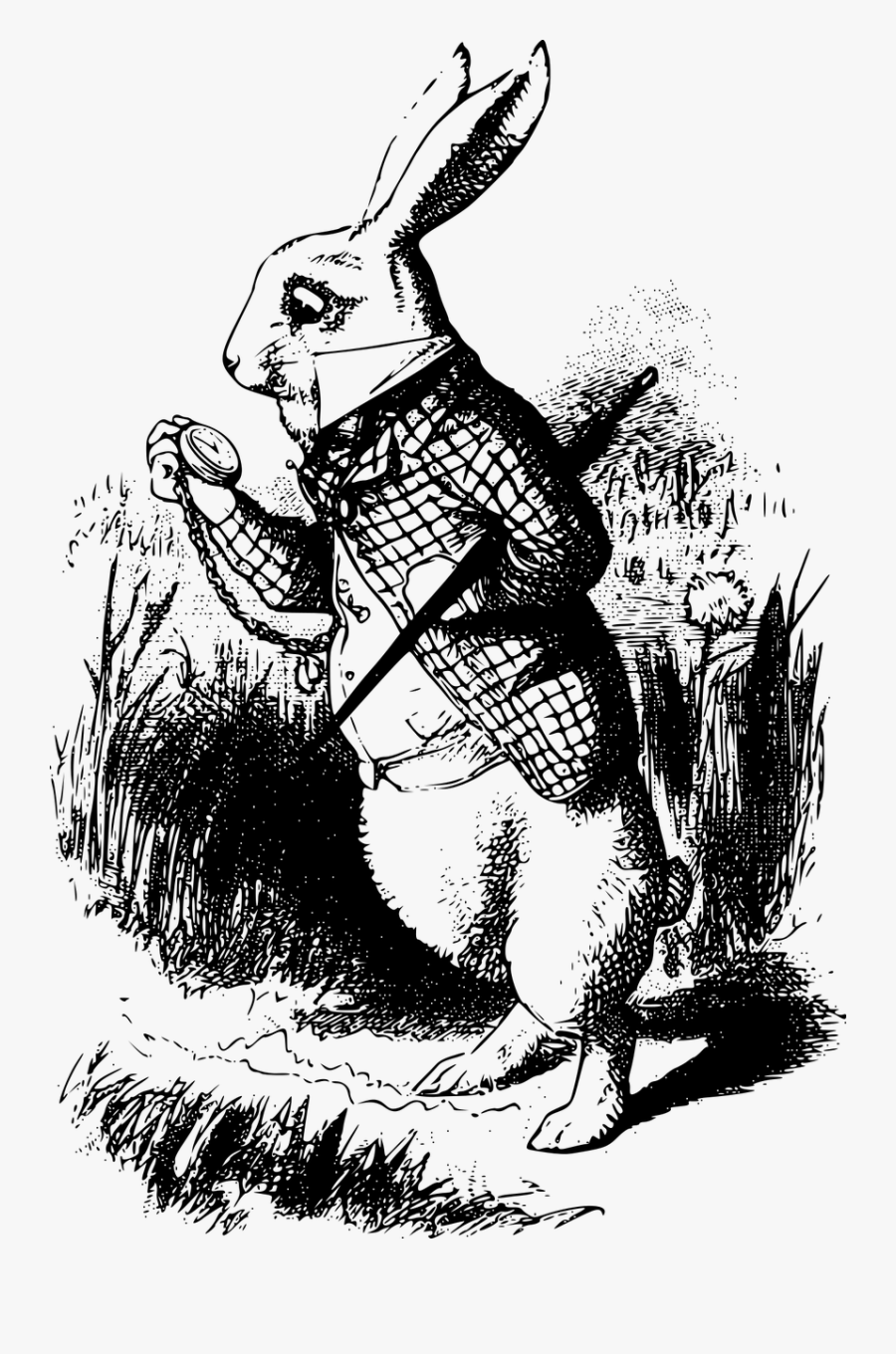 The White Rabbit - White Rabbit John Tenniel, Transparent Clipart