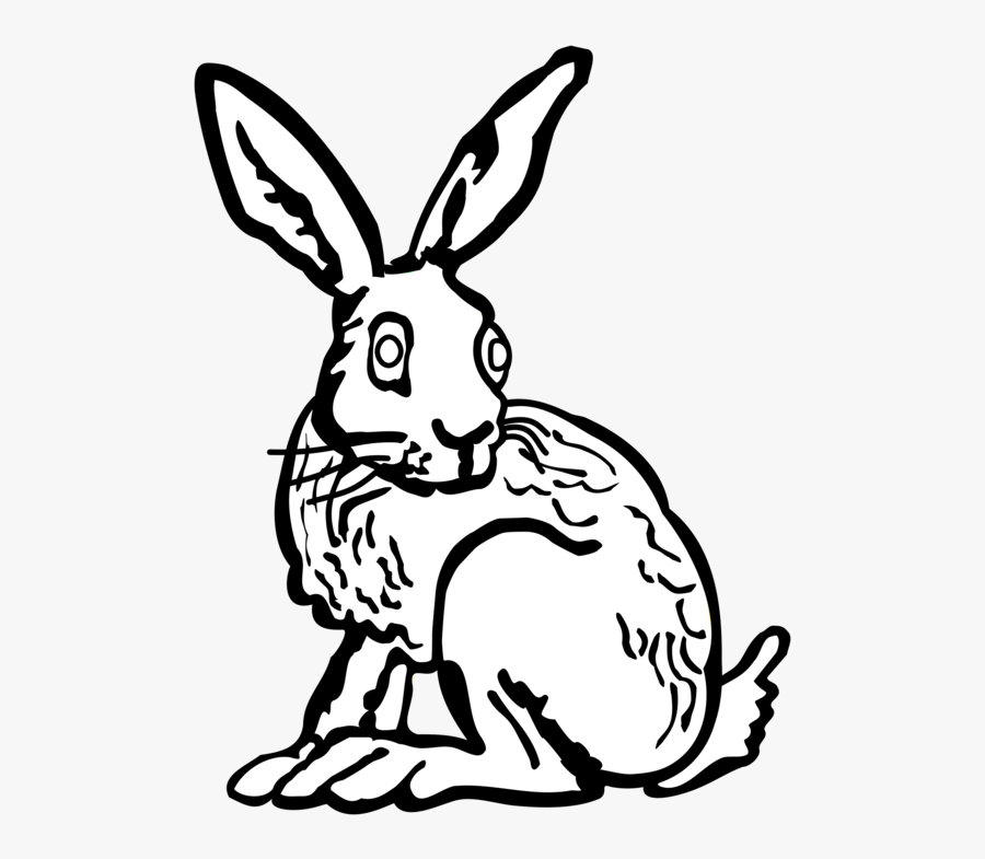 Art,rabits And Hares,monochrome Photography - Rabbit Draw Art, Transparent Clipart