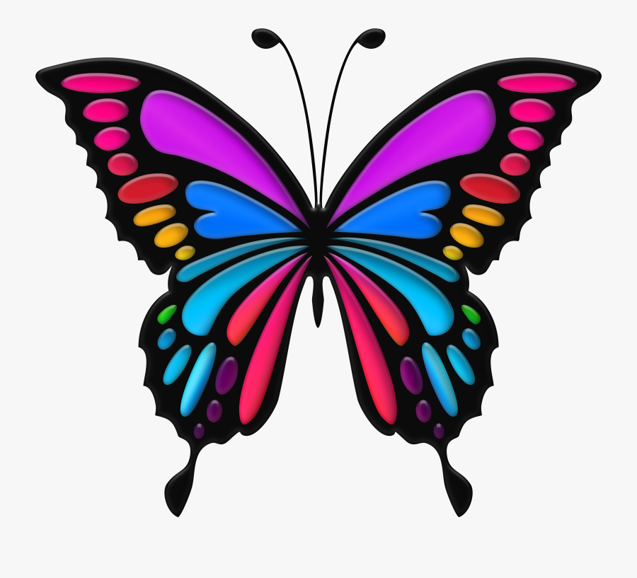 Clip Art Free Butterfly Art , Free Transparent Clipart - ClipartKey