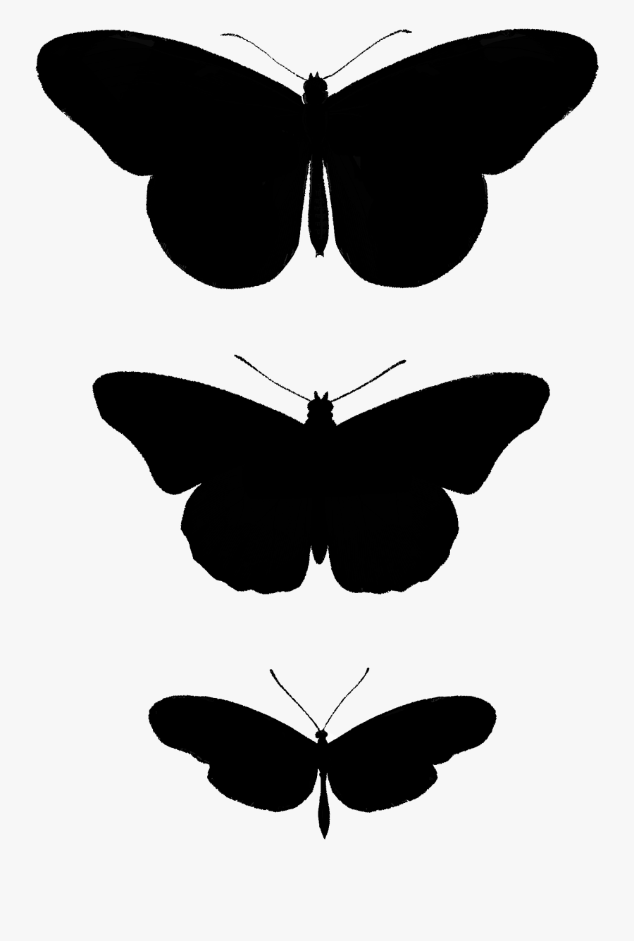 2267 Butterfly Silhouettes Free Vintage Clip Art➢ Download - Brush-footed Butterfly, Transparent Clipart