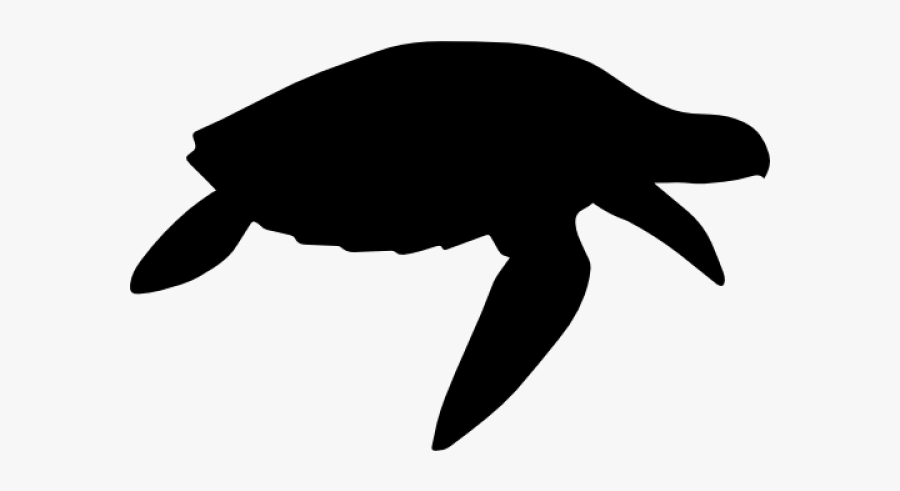 Sea Turtle Clipart Shadow - Turtles Silhouette, Transparent Clipart