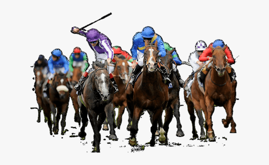 Horse Racing Transparent Background, Transparent Clipart