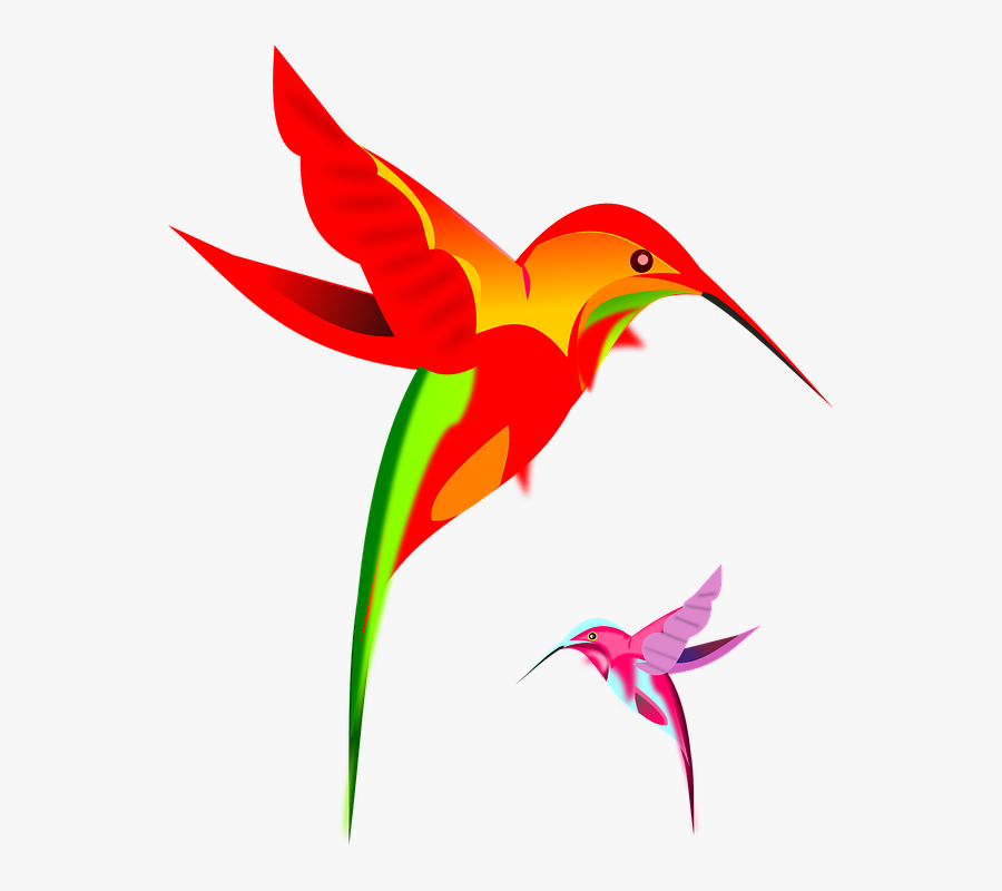 67160 - Transparent Background Humming Bird Png, Transparent Clipart