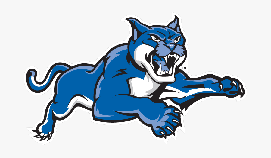 Kentucky Wildcats Clipart - New England Institute Of Technology Mascot, Transparent Clipart