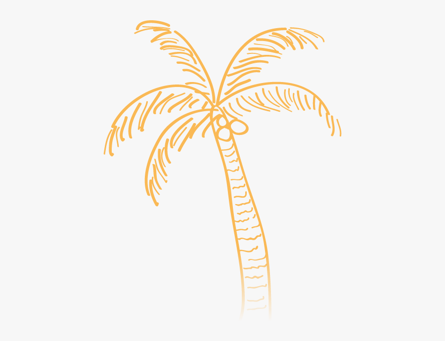 Palm Tree Doodle Png, Transparent Clipart