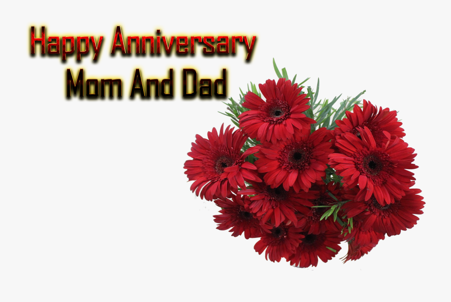 Happy Anniversary Mom And Dad Png Free Background - Anniversary Background Png, Transparent Clipart