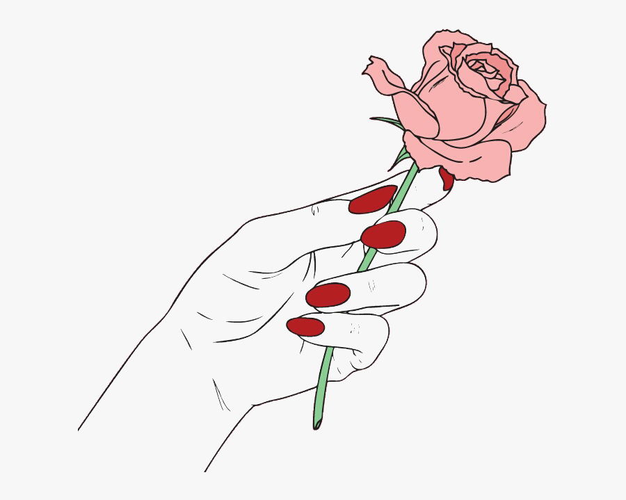 Aesthetic Transparent Background Rose Drawing Largest Wallpaper Portal