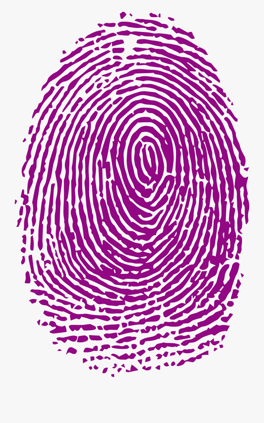 Fingerprint Forensic Science Analysis - Huella Dactilar Png, Transparent Clipart