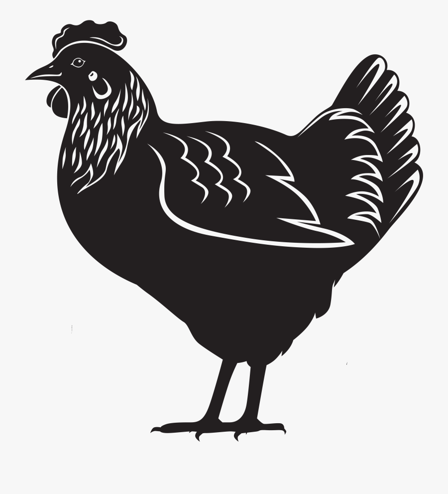 Transparent Hen Clipart - Chicken Vector Hen, Transparent Clipart