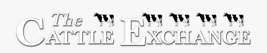 The Cattle Exchange - Dairy Cow, Transparent Clipart