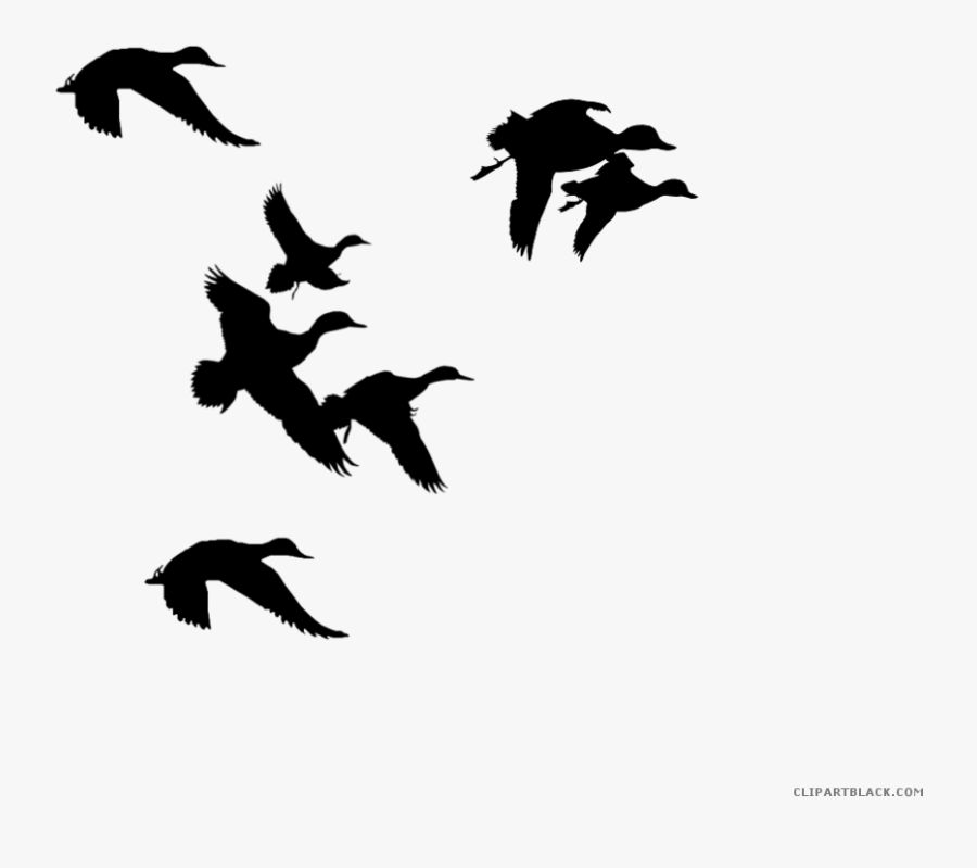 Ducks Clipart Black And White - Flying Ducks Black And White, Transparent Clipart
