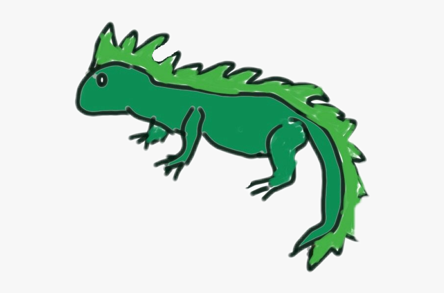 #iguana - Green Iguana, Transparent Clipart