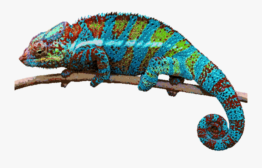 Chameleon Png, Transparent Clipart