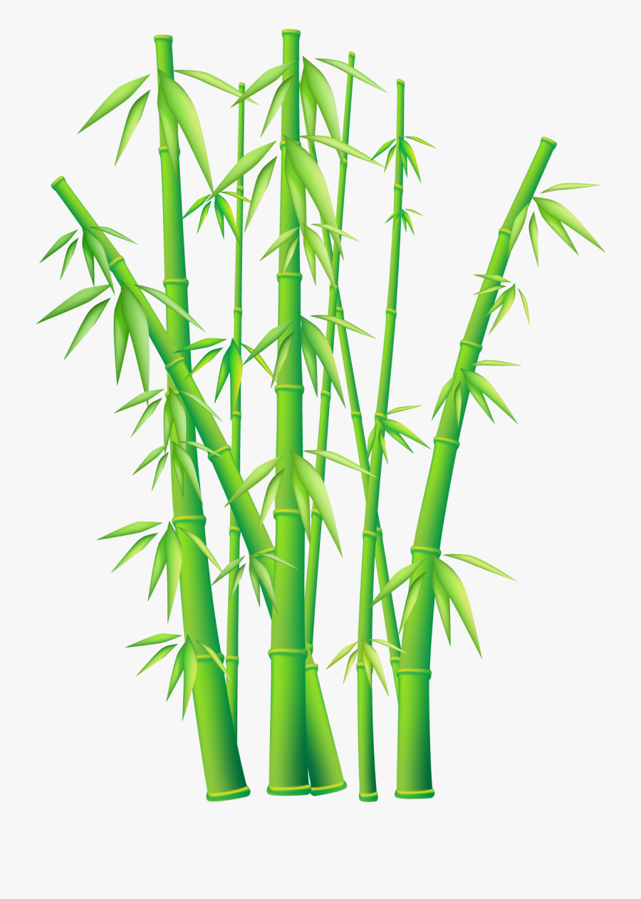 Bamboo Border Free Download - Bamboo Png, Transparent Clipart