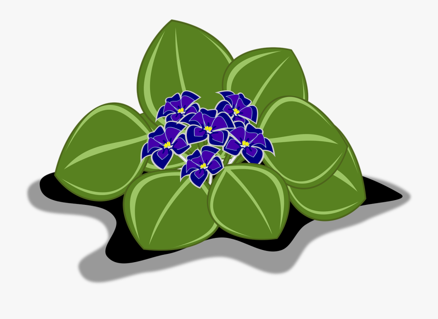 African Violet Clip Art Flor Free Picture - African Violets, Transparent Clipart