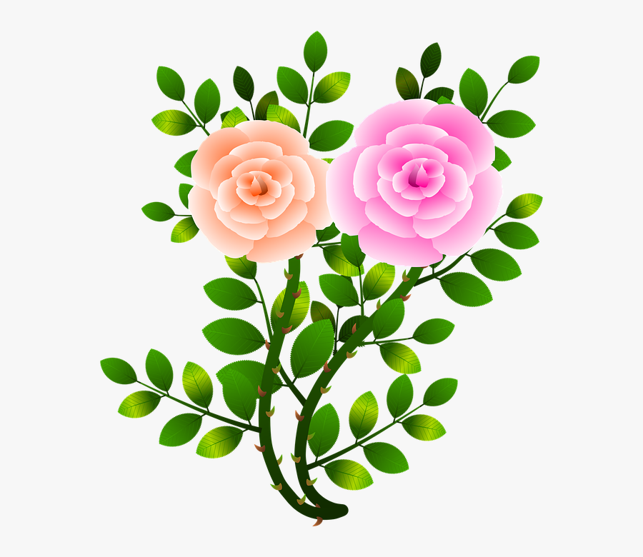 Roses, Flowers, Floral, Flowery, Branch, Plants, Garden - Rama De Rosa Png, Transparent Clipart