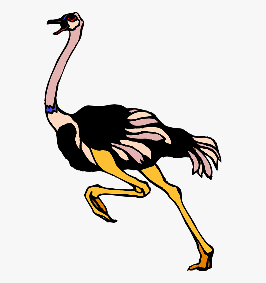 Publicat De Eu Ciresica La - Common Ostrich , Free Transparent Clipart ...