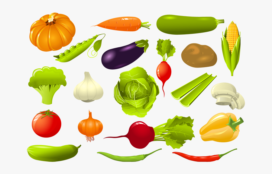 Vegetable Group Clipart 野菜 素材 フリー イラスト Free Transparent Clipart Clipartkey