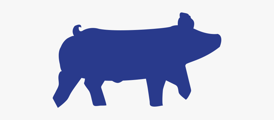 Image - Show Pig Logo Design, Transparent Clipart