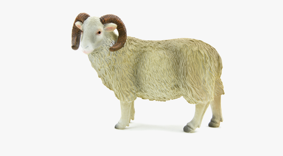 Transparent Ram Animal Png - Sheep Ram, Transparent Clipart