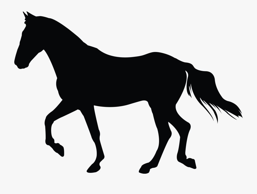 Rocky Mountain Horse Clip Art - 공터 에서 김훈, Transparent Clipart