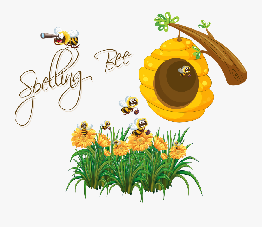 Spelling Bee Spellquiz - Tub Ring Optics And Sonics, Transparent Clipart