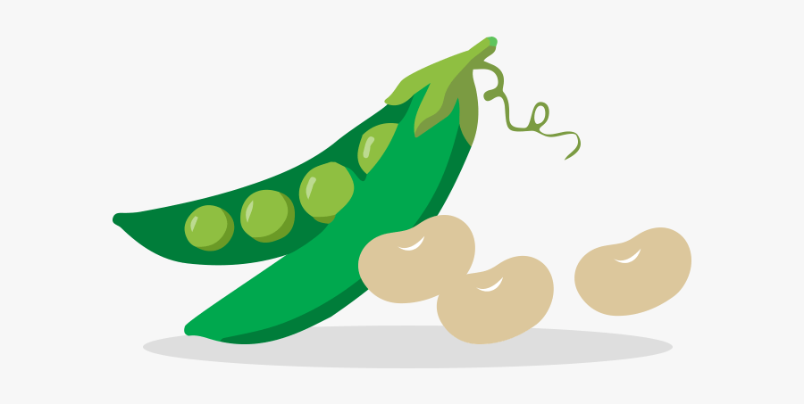 Fruits And Veggies Beans - Vegetables And Legumes Clipart, Transparent Clipart