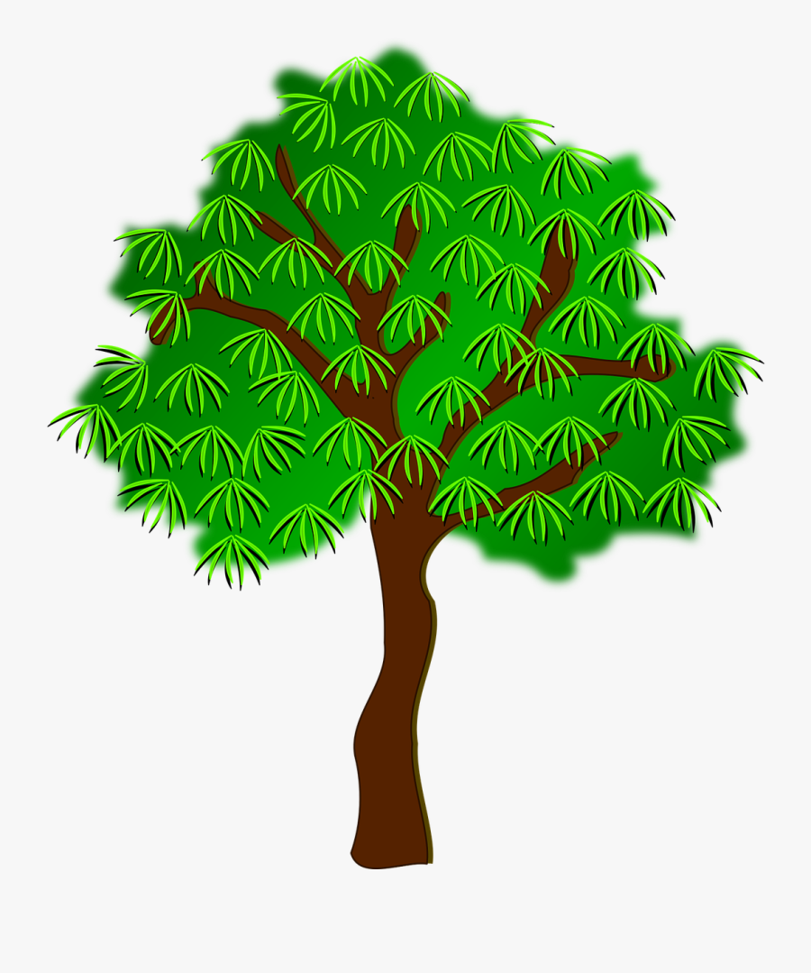 Clip Art, Flora, Nature, Plant, Tree - Clip Art, Transparent Clipart