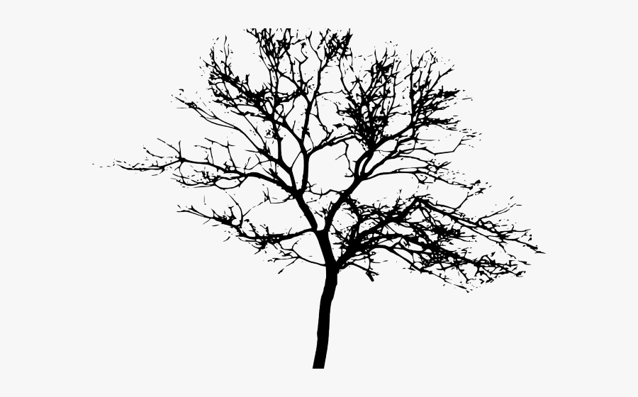 Transparent Background Tree Silhouette, Transparent Clipart