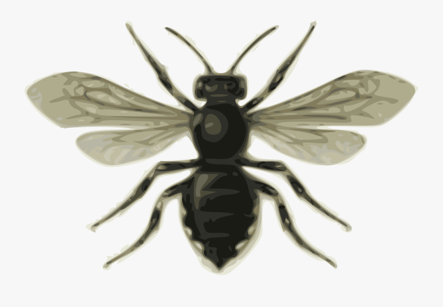 Bee - Bee Clip Art, Transparent Clipart