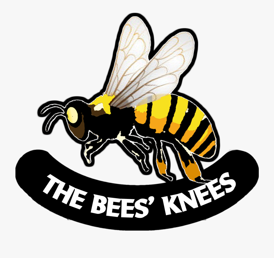 Bee`s Knees. Bee's Knees идиома. Рисунок идиома Bee’s Knees.