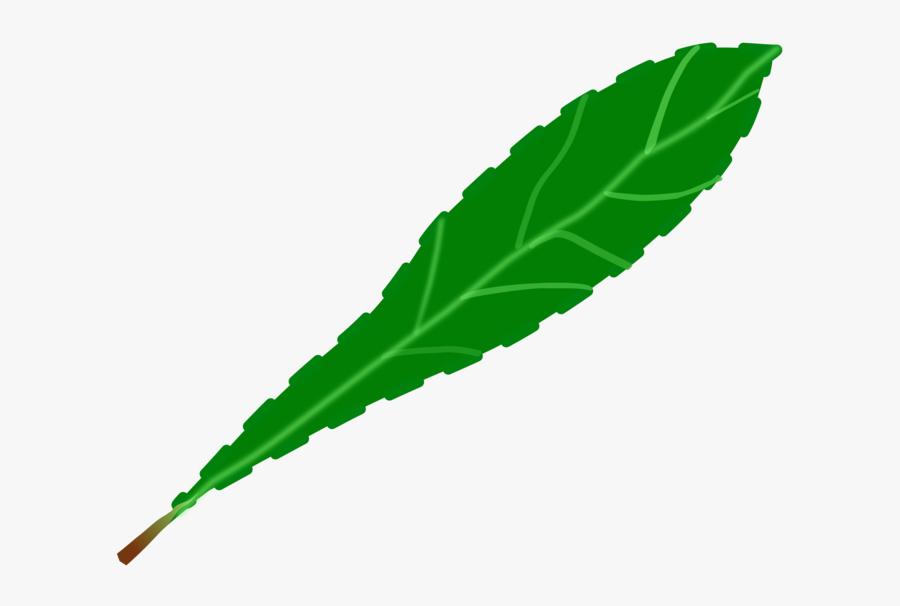 Drawing Leaf Computer Icons Green Watercolor Painting - Portable Network Graphics, Transparent Clipart