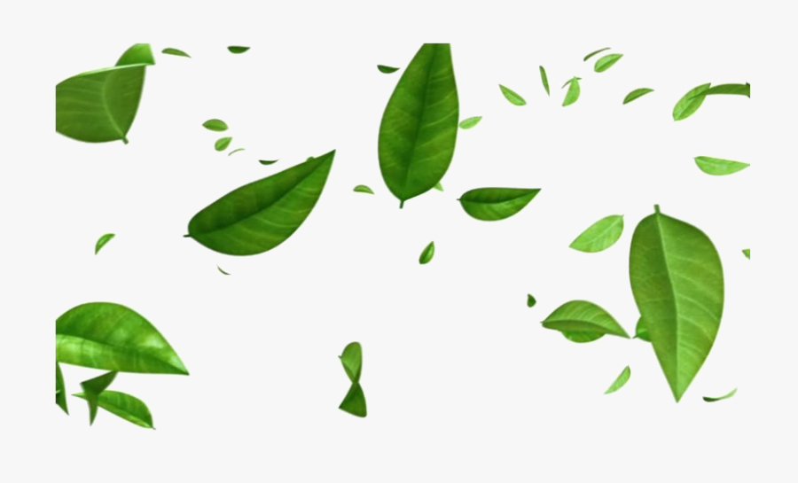 Green Leaves Png Free Image - Transparent Falling Green Leaves Png, Transparent Clipart