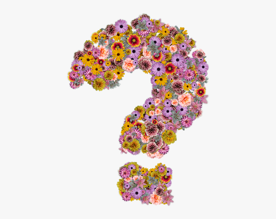 Transparent Flower Question Mark, Transparent Clipart